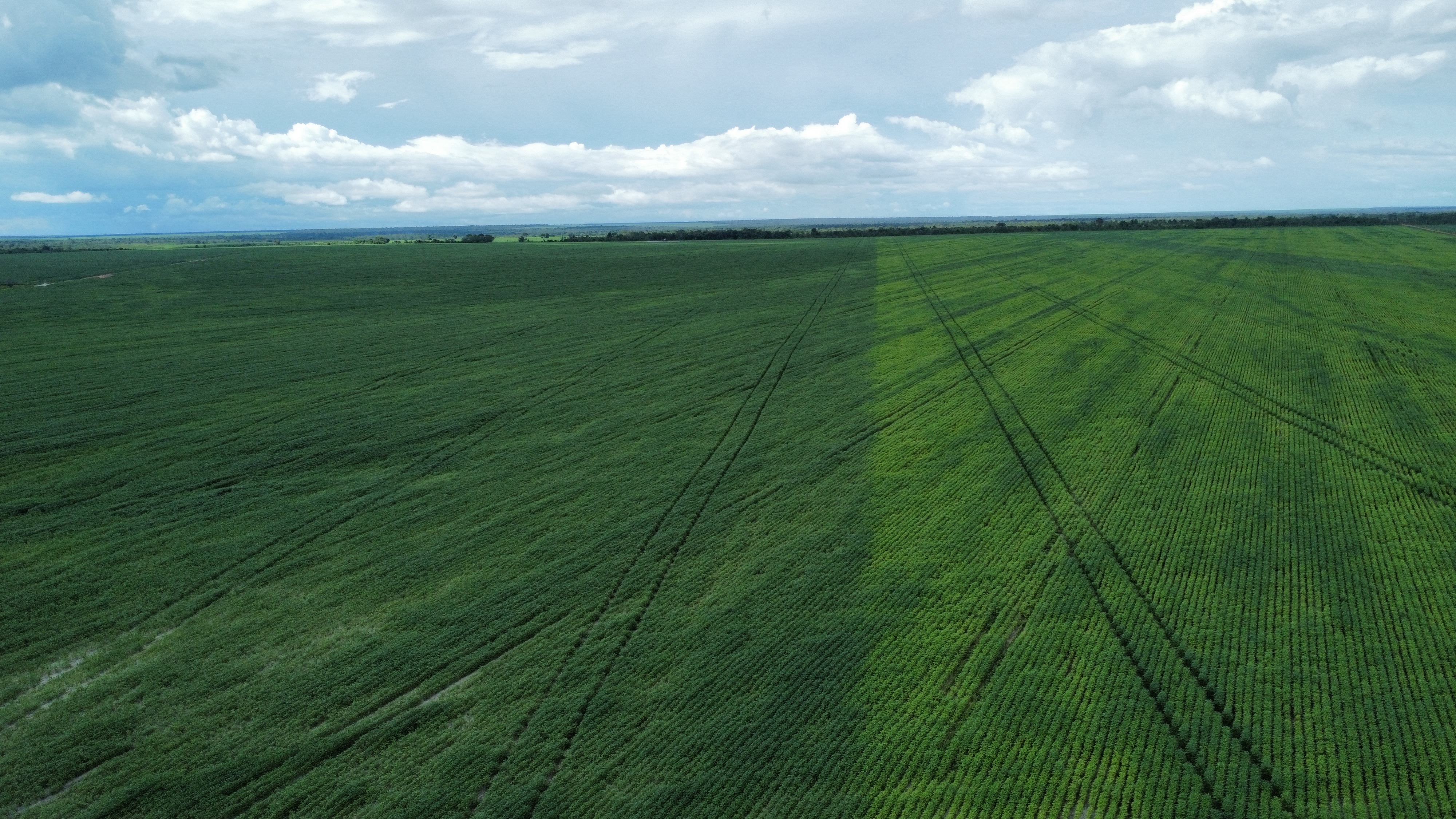 Equipe N3 Agroscience no campo